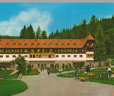 CPIB 15220 - CARTE POSTALA - BORSEC. PAVILIONUL CENTRAL foto