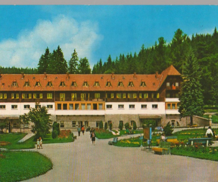CPIB 15220 - CARTE POSTALA - BORSEC. PAVILIONUL CENTRAL