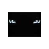 Angel Eyes CCFL compatibil BMW Seria 3 E90 Cod: 4090e Automotive TrustedCars, Oem