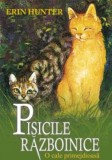 O cale primejdioasa. Seria Pisicile razboinice Vol.5 - Grupul All