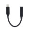 Adaptor Lightning - Jack 3.5mm (Negru)