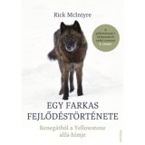Egy farkas fejlőd&eacute;st&ouml;rt&eacute;nete - Reneg&aacute;tb&oacute;l a Yellowstone alfa-h&iacute;mje - Rick McIntyre