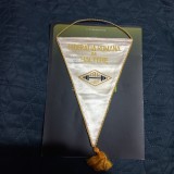 Fanion Fed. romana de Haltere