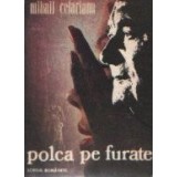 Polca pe furate