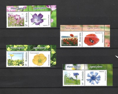 ROMANIA 2024 - PLANTE SEGETALE, VINIETA, MNH - LP 2478 foto