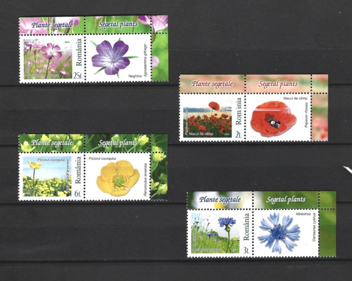 ROMANIA 2024 - PLANTE SEGETALE, VINIETA, MNH - LP 2478