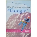 David Viney - Cum sa ajungi in top pe Google (Editia: 2009)