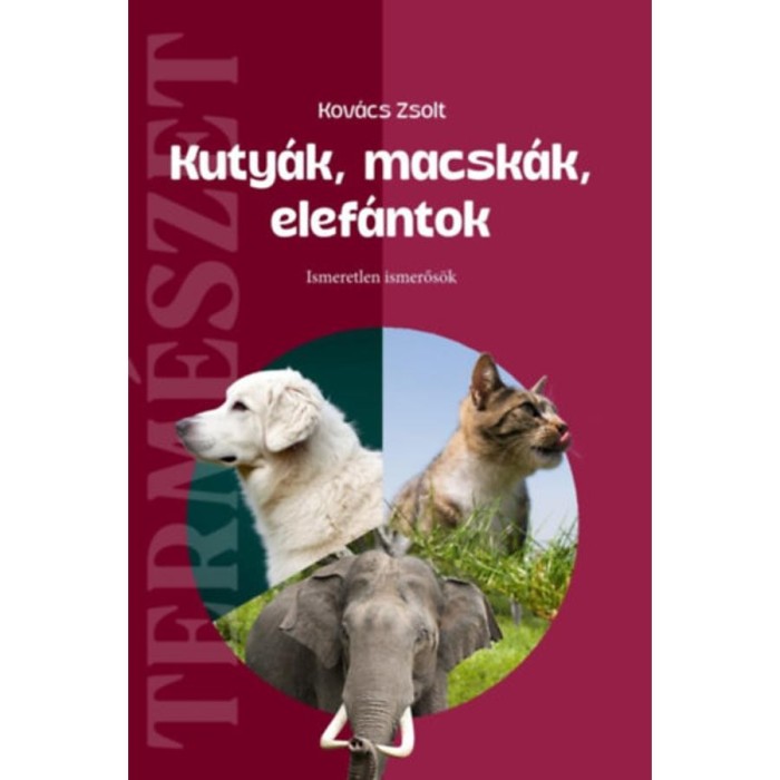 Kuty&aacute;k, macsk&aacute;k, elef&aacute;ntok - Ismeretlen ismerős&ouml;k - Kov&aacute;cs Zsolt