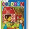 Invatam sa coloram 90 imagini