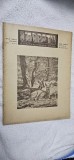 REVISTA CARPATII VANATOARE PESCUIT CHINOLOGIE , NR. 5-6 / 1945