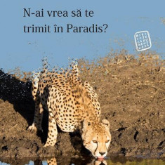 N-ai vrea să te trimit în Paradis? - Paperback brosat - Daniel Bănulescu - Paralela 45