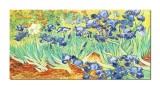 Cumpara ieftin Tablou celebru gigant pictat manual, Irisi la Saint-Remy, 140x70cm ulei pe panza, reproducere Vincent van Gogh