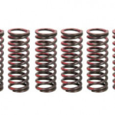 Set arcuri ambreiaj compatibil: SUZUKI RM-Z 450 2005-2007