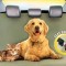 Patura Pet Zoom Loungee