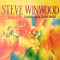 VINIL Steve Winwood &lrm;&ndash; Talking Back To The Night (VG)