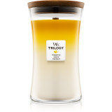 Woodwick Trilogy Fruits of Summer lum&acirc;nare parfumată cu fitil din lemn 609,5 g