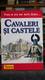 Cumpara ieftin Carte Cavaleri si Castele, Editura Teora, 2008, 48 pagini, literatura clasica