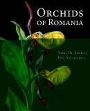 Cumpara ieftin Orchids of Romania