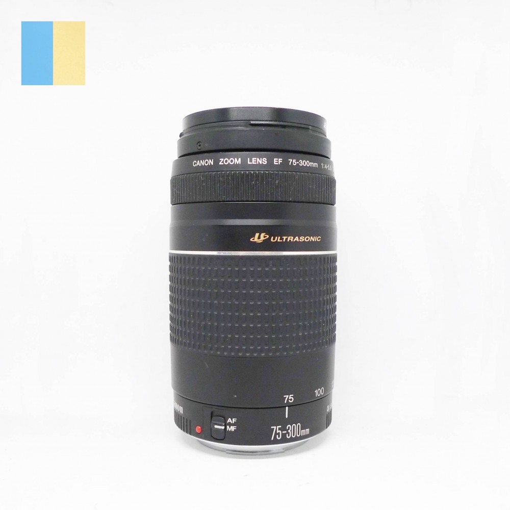 Obiectiv Canon Zoom Lens EF 75300mm f/45.6 III USM, Tele, Autofocus