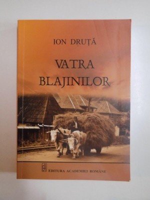 VATRA BLAJINILOR de ION DRUTA, 2013 foto
