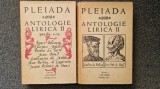 PLEIADA. ANTOLOGIE LIRICA - Alexandru Rally (2 volume)