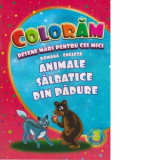 Coloram desene mari pentru cei mici. Animale salbatice din padure