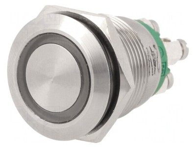 Comutator Anti-Vandalism SPST-NO 0,05A 24VDC IP66 foto