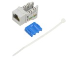 Modul RJ45 Keystone Gri Cat 6a IEEE 802.3at - Goobay