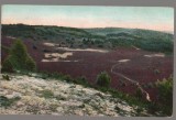 CPIB 23936 - CARTE POSTALA - LUNEBURG, GERMANIA, CIRCULATA, 1913, STAMPILA, TIMBRU