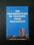 Iulian Neacsu - Un bucurestean in trecere prin Bucuresti