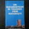 Iulian Neacsu - Un bucurestean in trecere prin Bucuresti