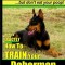 Doberman Pinscher, Doberman Pinscher Training AAA Akc: Think Like a Dog, But Don&#039;t Eat Your Poop! Doberman Pinscher Breed Expert Training: Here&#039;s Exac