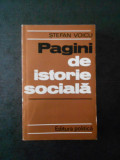 Stefan Voicu - Pagini de istorie sociala