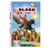 Cumpara ieftin Black Beauty, Regis