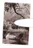 CP Baile Herculane - Podul acoperit peste Cerna, RPR, circulata 1964, stare buna, Printata