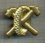 Y 1734 INSIGNA - MILITARA -SEMN DE ARMA - AUTO -PENTRU COLECTIONARI