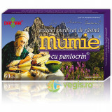 MUMIE Extract de Rasina si Pantocrin 60tb