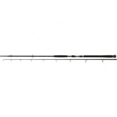 Lanseta Exceler Catfish Spin 2,40M/-185G / 2 tronsoane Daiwa