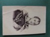 Fotografie galerie historique ,dimensiuni 11 cm x 6 cm, anii 1900, ,personalitati, VERSO STAMPILA