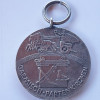 Germania Nazista medalie Olimpiada 1936 de iarna Garmisch -Partenkirchen, Europa