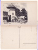 Curtea de Arges-Fantana Mesterului Manole- Stengel, rara