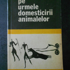 OVIDIU CAZACU - PE URMELE DOMESTICIRII ANIMALELOR