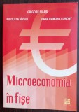 (C498) GRIGORE SILASI S.A. - MICROECONOMIA IN FISE