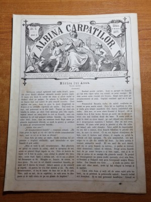 albina carpatilor 13 octombrie 1877-odisea,laura lambertini,moartea lui asan foto