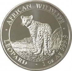 Moneda argint 999 lingou, Leopard Somalia 2018, 1 uncie 31 grame foto
