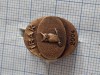 Insigna directia de informatii a armatei - irak 2004