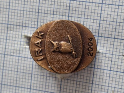 insigna directia de informatii a armatei - irak 2004 foto