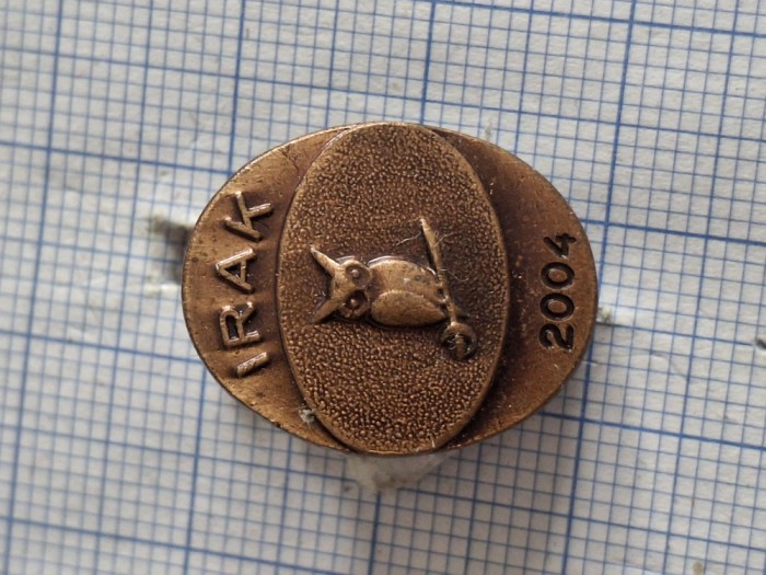 insigna directia de informatii a armatei - irak 2004