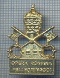 AX 484 INSIGNA -OPERA ROMANA -PELLEGRINAGGI