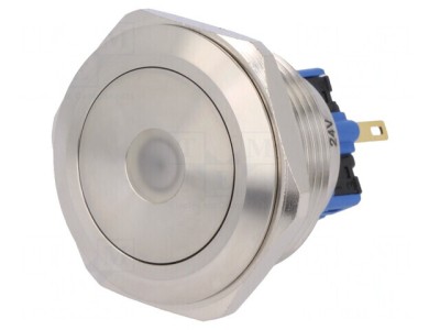 Comutator Anti-Vandalism SPDT 3A/220VAC 5A/24VDC IP65 foto